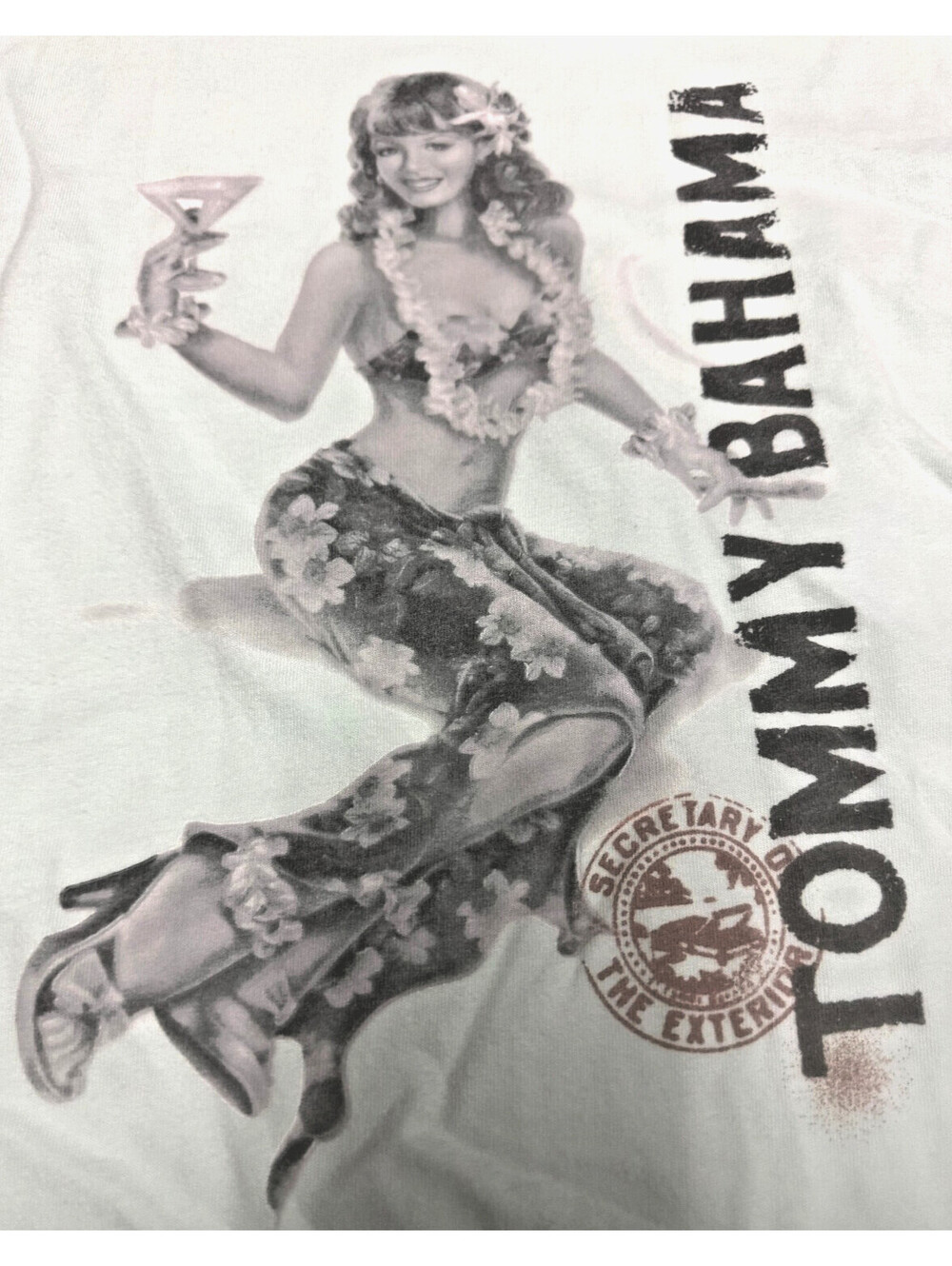 Tommy Bahama Secretary of the Exterior XL Pinup Graphic T-Shirt Mint Green